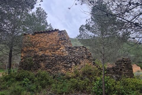 Landejendom i Asco, Tarragona, Asco - € 12.500 | Ref: 959 Lasco - foto 6